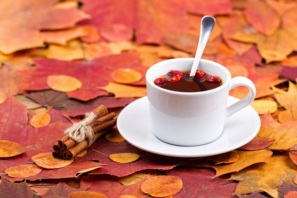 Tea with a dogrose and cinnamon - Фото, изображение