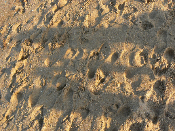 Тіні на пляжі
 - Фото, зображення