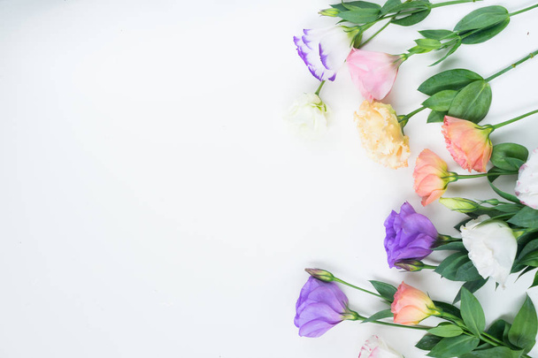 Różowe, białe i fioletowe kwiaty - Zdjęcie, obraz