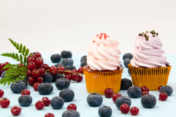 cupcake ai mirtilli su sfondo bianco. dessert fatto in casa per un compleanno, preparare per la celebrazione
 - Foto, immagini
