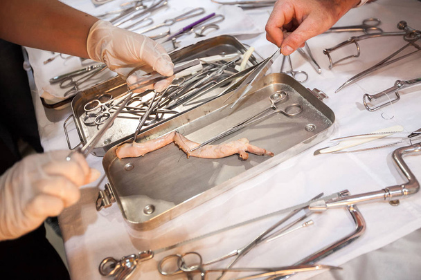 medical courses. surgical tool kit. surgeons sew up body. - Photo, Image