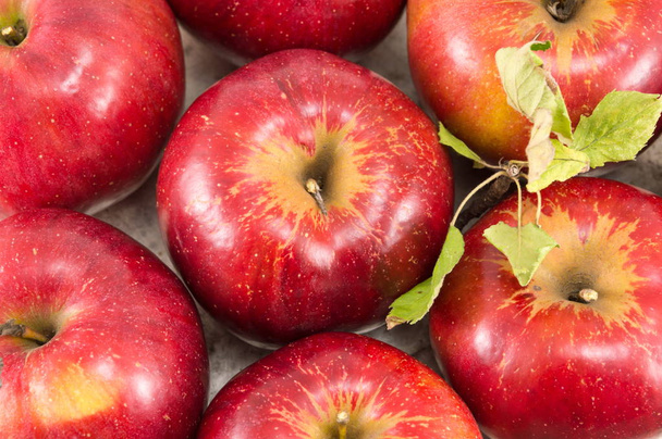 Pommes rouges fraîchement cueillies sur une assiette
 - Photo, image