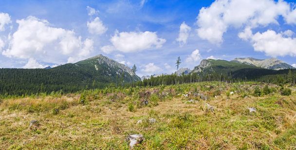 Panoramic view of High Tatras Mountains in Slovakia - Φωτογραφία, εικόνα