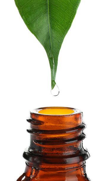 Green leaf with drop of essential oil - Foto, Imagem