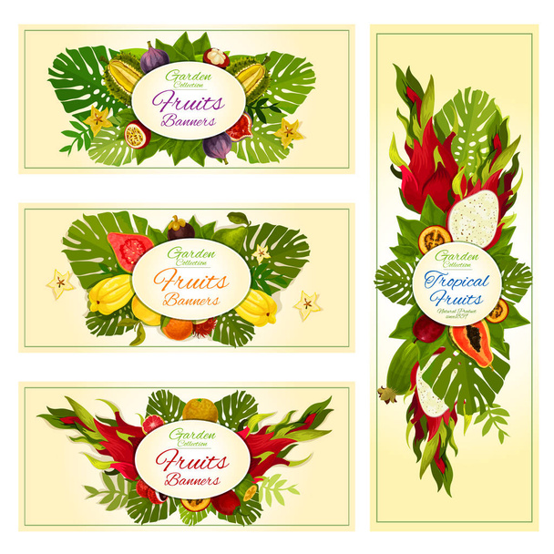 Тропические и экзотические фруктовые баннеры для дизайна продуктов питания
 - Вектор,изображение
