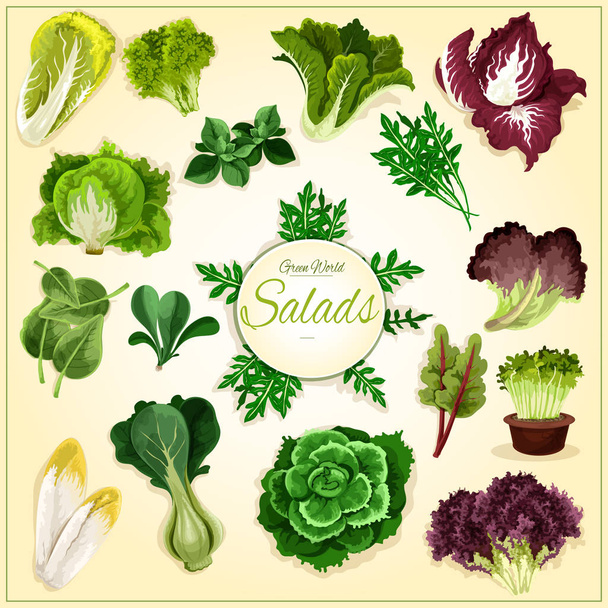 Salad leaf and vegetable greens poster - Vector, Image