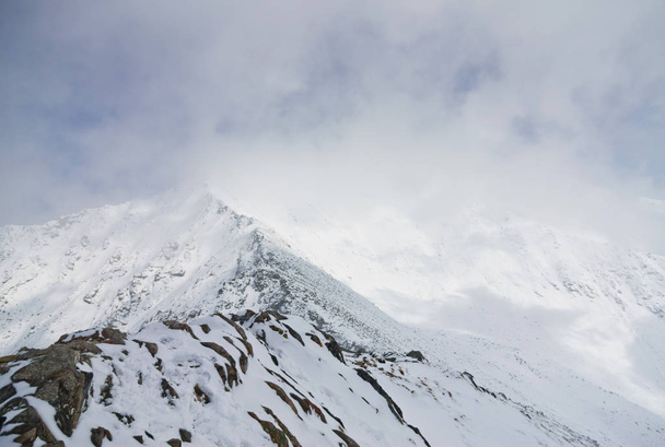 Snow cloud covers the mountain peaks and trees - Φωτογραφία, εικόνα