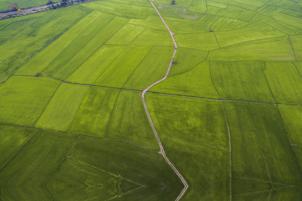 Mappa della fattoria del riso, Bird Eye View.soft focus
 - Foto, immagini