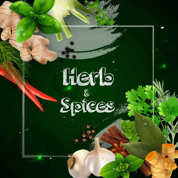 Spices and herbs on the green background - Vector, Image