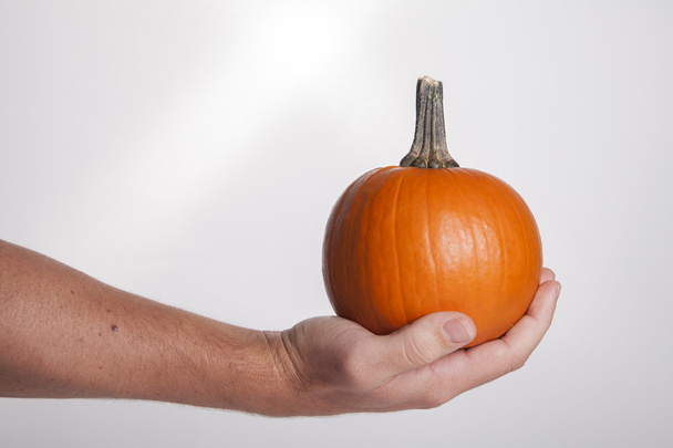 Hand Holding Big Orange Pumpkin - Photo, image