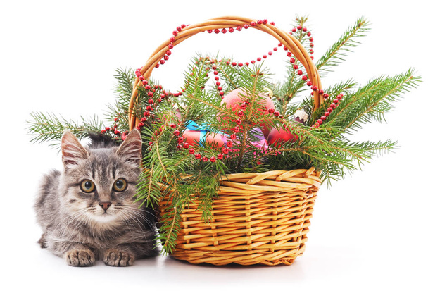 Kitten near the basket with Christmas gifts. - Photo, image