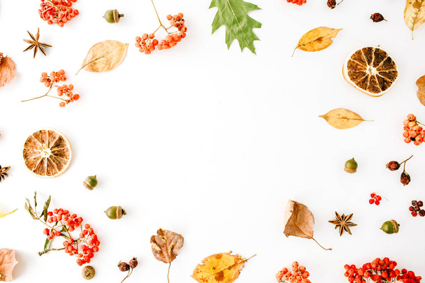 podzimní pádu plochý lay - Fotografie, Obrázek