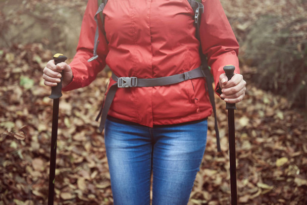  hiking woman in autumn forest - Photo, Image