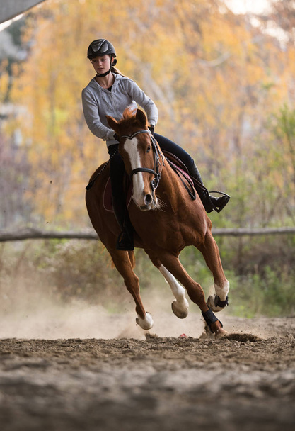 Молодая девушка верхом на лошади
 - Фото, изображение
