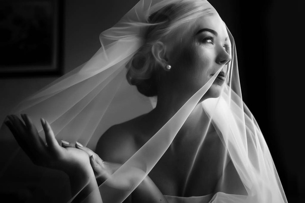 Tender veil coveres bride's face and hands  - Foto, Bild