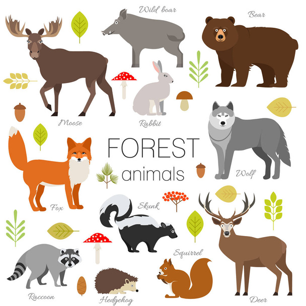 Lesní zvířata izolována vektorové sada. Moose, divočák, medvěd, liška, králík, vlk, skunk, mýval, jelen, veverka, Ježek - Vektor, obrázek