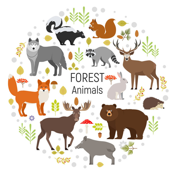 Круговой векторный набор растений и лесных животных. Лось, кабан, медведь, лиса, кролик, волк, скунс, енот, олень
 - Вектор,изображение