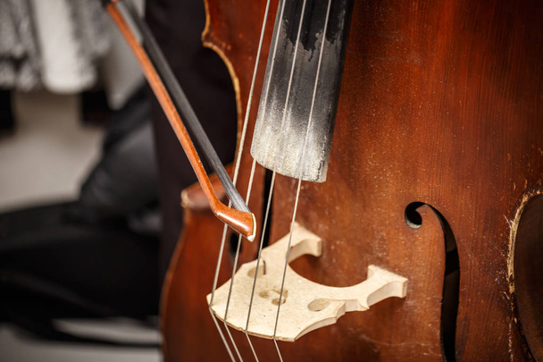 Double bass, wooden musical instrument  - Фото, зображення