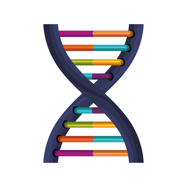 deoxyribonucleic acid met honken in kleur - Vector, afbeelding