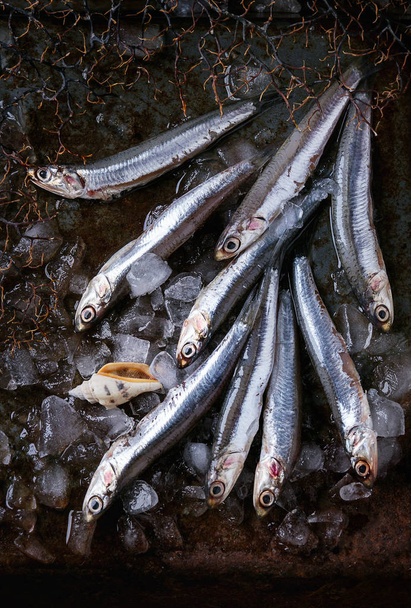 Raw fresh anchovies fishes - Foto, Imagen