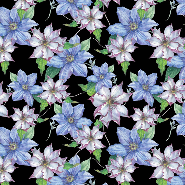 Wildflower clematis flower pattern in a watercolor style isolated. - Photo, Image