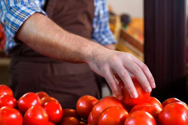 Seller sorting tomatoes - Fotó, kép