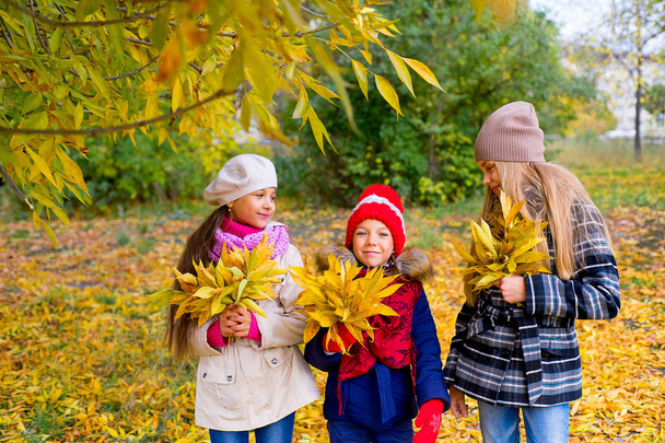 group of girls in autumn park with leafs - Фото, изображение