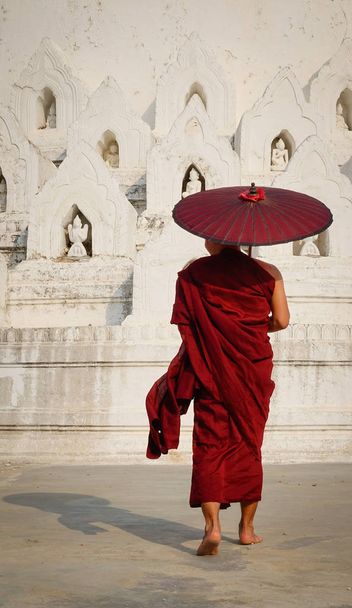 Buddhalainen munkki punaisessa kaapussa sateenvarjon kanssa happamassa pagodissa Mingunissa.
. - Valokuva, kuva