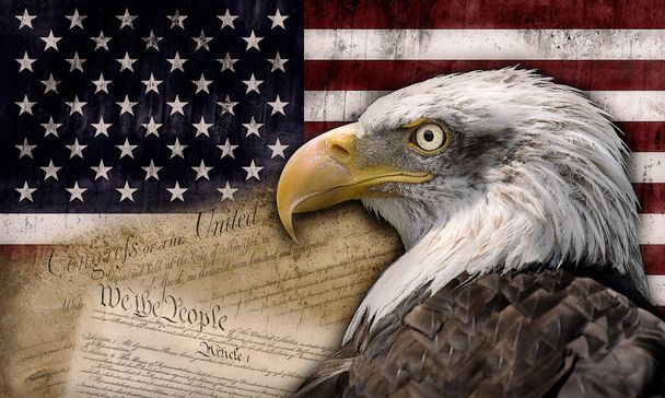 Eagle Flag Images – Browse 45,100 Stock Photos, Vectors, and Video