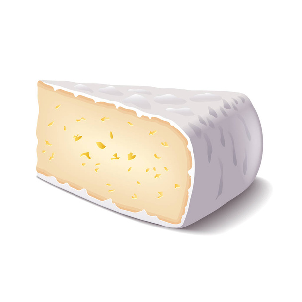 Τυρί Μπρι που απομονώνονται σε λευκό διάνυσμα - Διάνυσμα, εικόνα