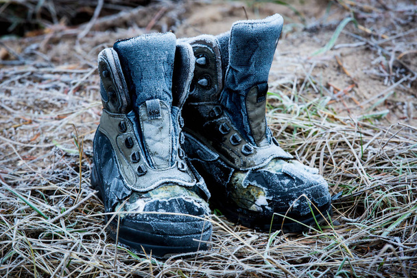 古い牧草地に冷凍のブーツを失った - 写真・画像