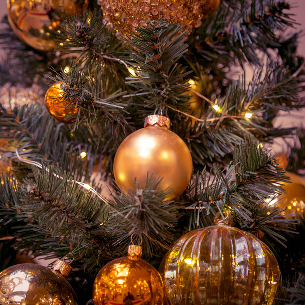 Christmas decorations on the branches of fir tree - Foto, immagini
