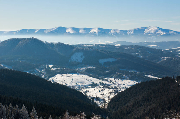 Winter landscape snow mountain pine forest in sunshine - Foto, imagen