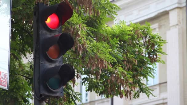 Traffic lights at the crossroads - Footage, Video