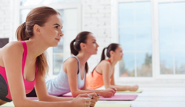 Three concentrated women doing a plank in gym - 写真・画像