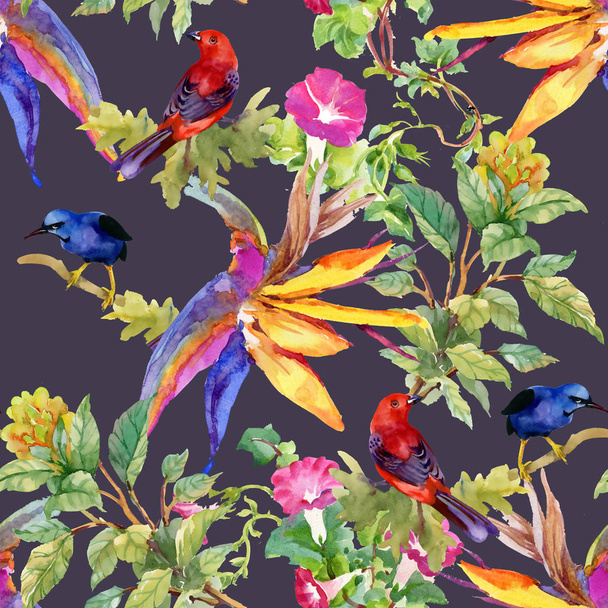 colorful pattern with flowers and birds - Zdjęcie, obraz