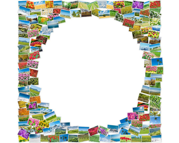 Various nature photos arranged in round frame - Photo, Image