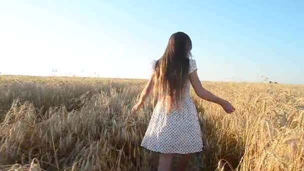 молода дівчина біжить пшеничним полем, торкається до жовтої стиглої пшениці
 - Кадри, відео