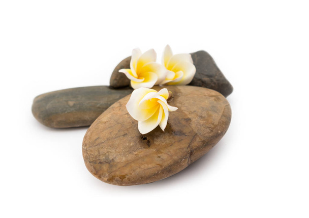 Plumeria fleur sur pierre pour spa relax
 - Photo, image