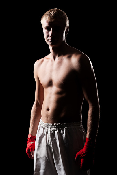 Kaukasischer Boxer - Foto, Bild