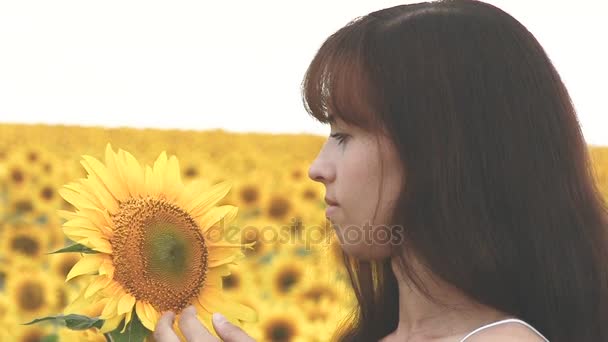 Tyttö pitkät hiukset koskettaa käsi keltainen auringonkukat
 - Materiaali, video