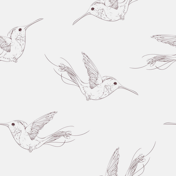熱帯性の鳥 colibries シームレス パターン。手描きの背景イラスト. - ベクター画像