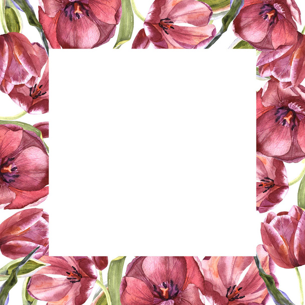 Wildflower tulip flower frame in a watercolor style isolated. - Photo, Image