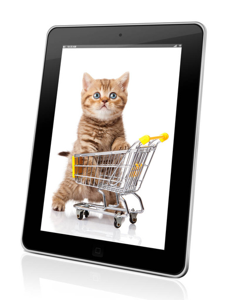 Online shopping concept.  technology to shop online  - Photo, Image