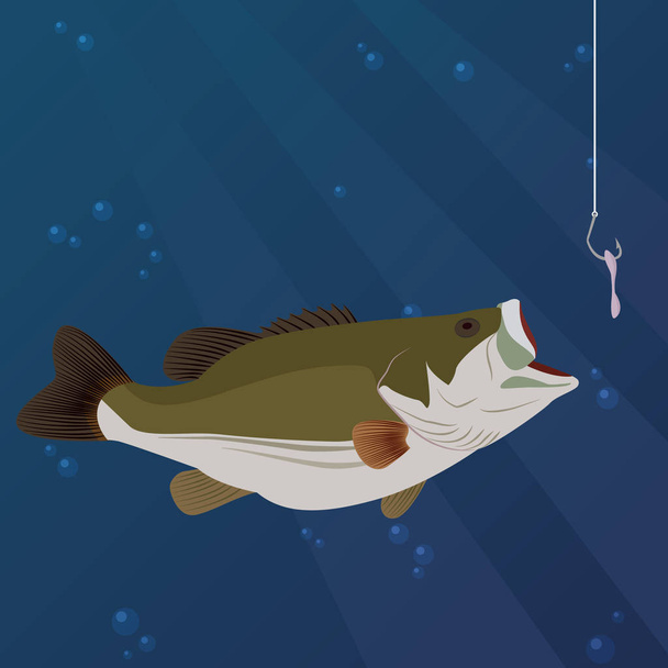 fish taking a bait    - Vector, Image