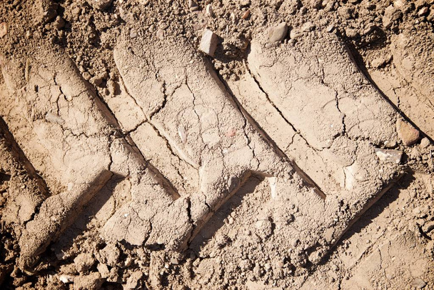 Footprint in the mud - Photo, Image