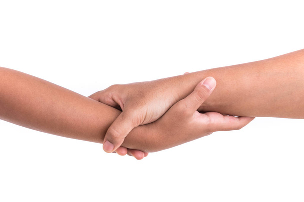 Two hands holding together. Help or support concept. Isolated on - Photo, Image