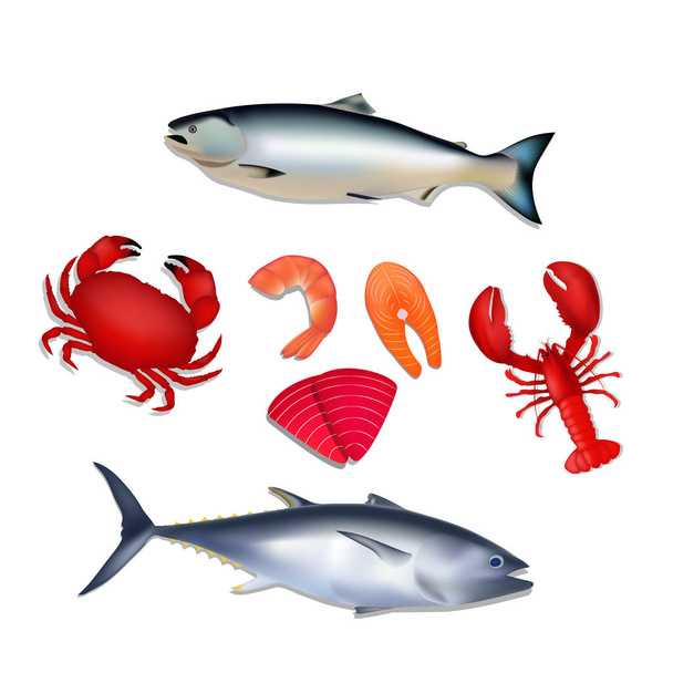 Meeresfrüchte-Set. Lachs, Thunfisch, Krabben, Hummer, Garnelen. - Vektor, Bild