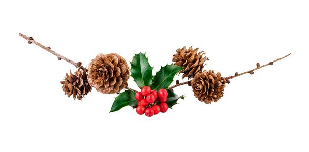 christmas organic composition with holly berries and larch cones on white - Photo, Image
