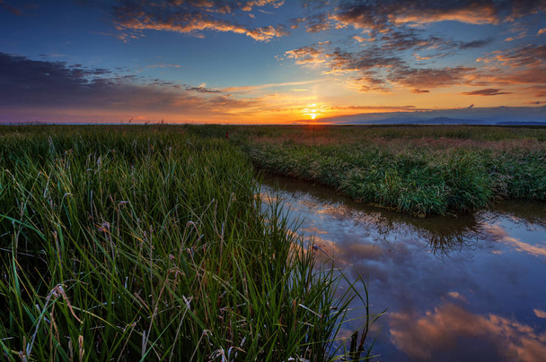Auringonlaskun maisema ruohoisella suolla
 - Valokuva, kuva